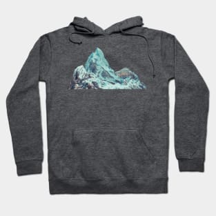 Expedition Florida Hoodie